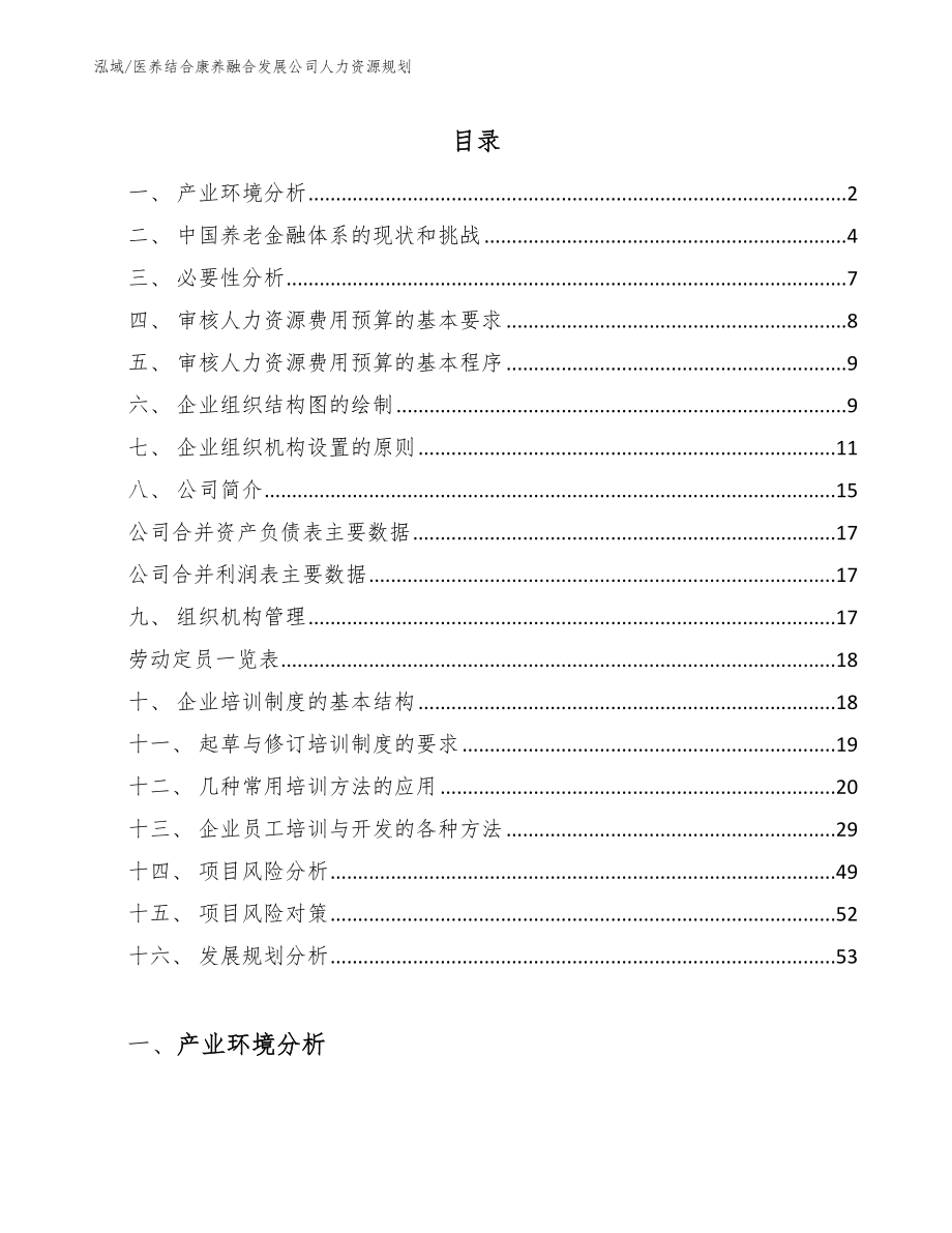 医养结合康养融合发展公司人力资源规划_第2页