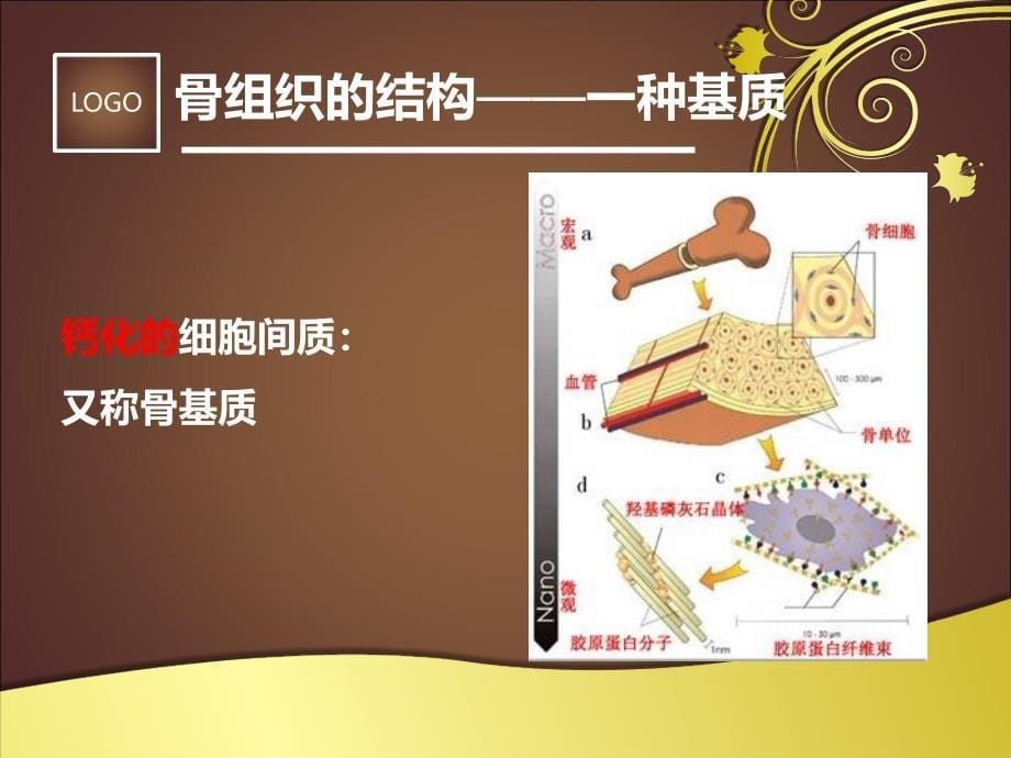 骨科生物支架材料.ppt_第5页