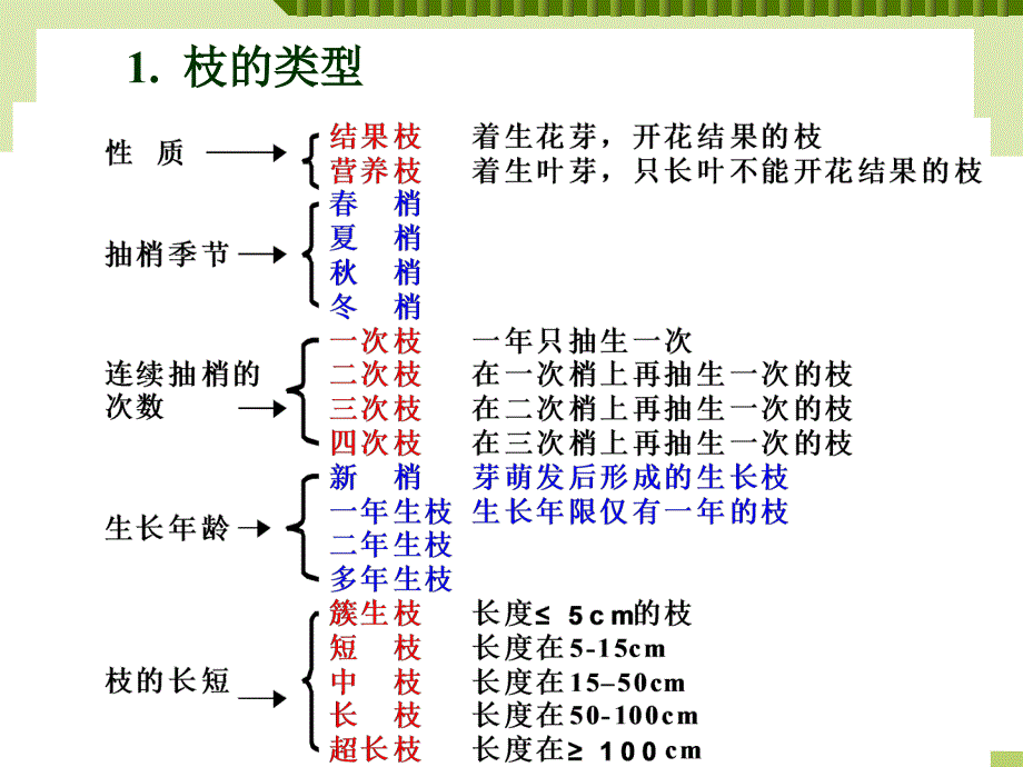 项目二果树的枝叶根的特性_第2页