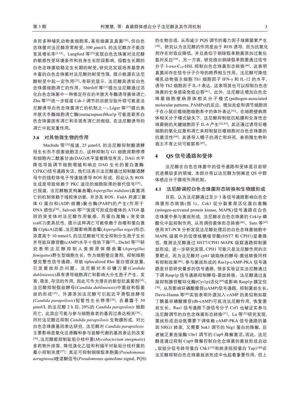 真菌群体感应分子法尼醇及其作用机制_第3页