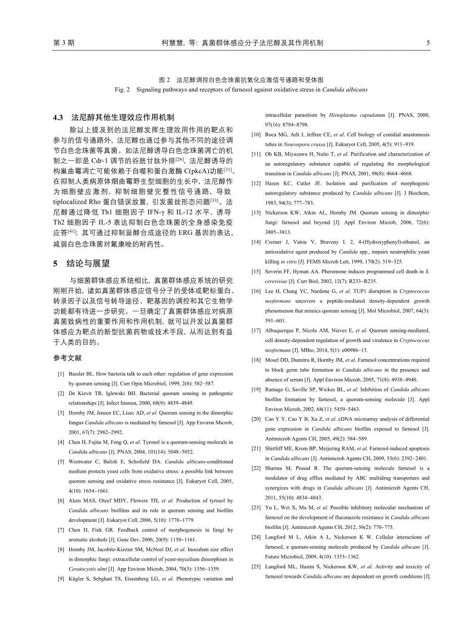 真菌群体感应分子法尼醇及其作用机制_第5页