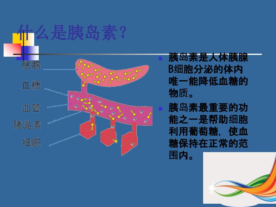 胰岛素规范化注射PPT课件_第4页