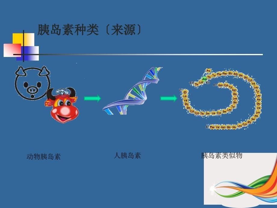 胰岛素规范化注射PPT课件_第5页