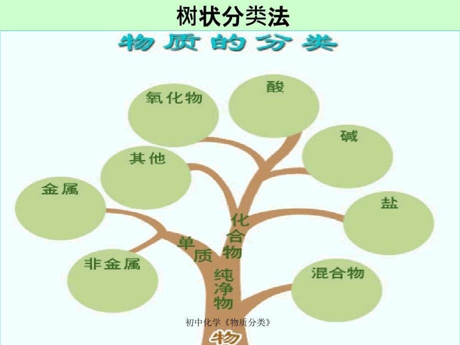 初中化学物质分类_第5页