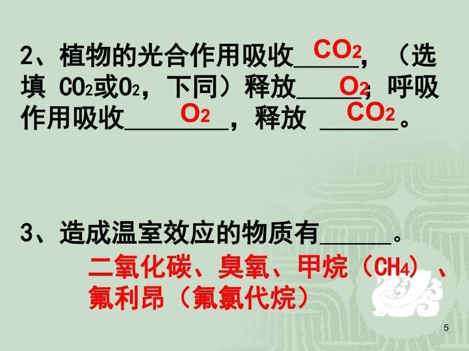 二氧化碳和一氧化碳2_第5页