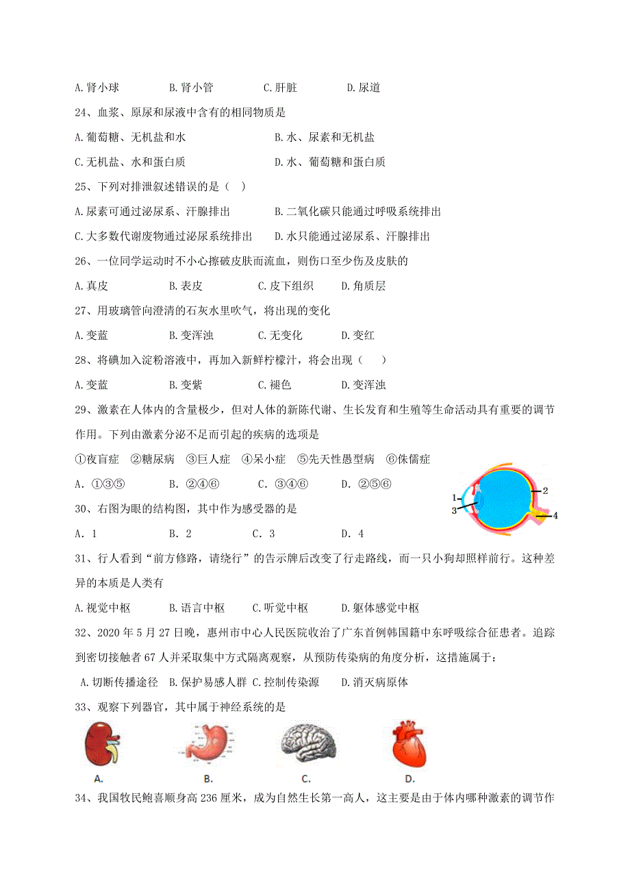 广东省惠州市惠城区2020学年七年级生物下学期期末试题 新人教版_第4页