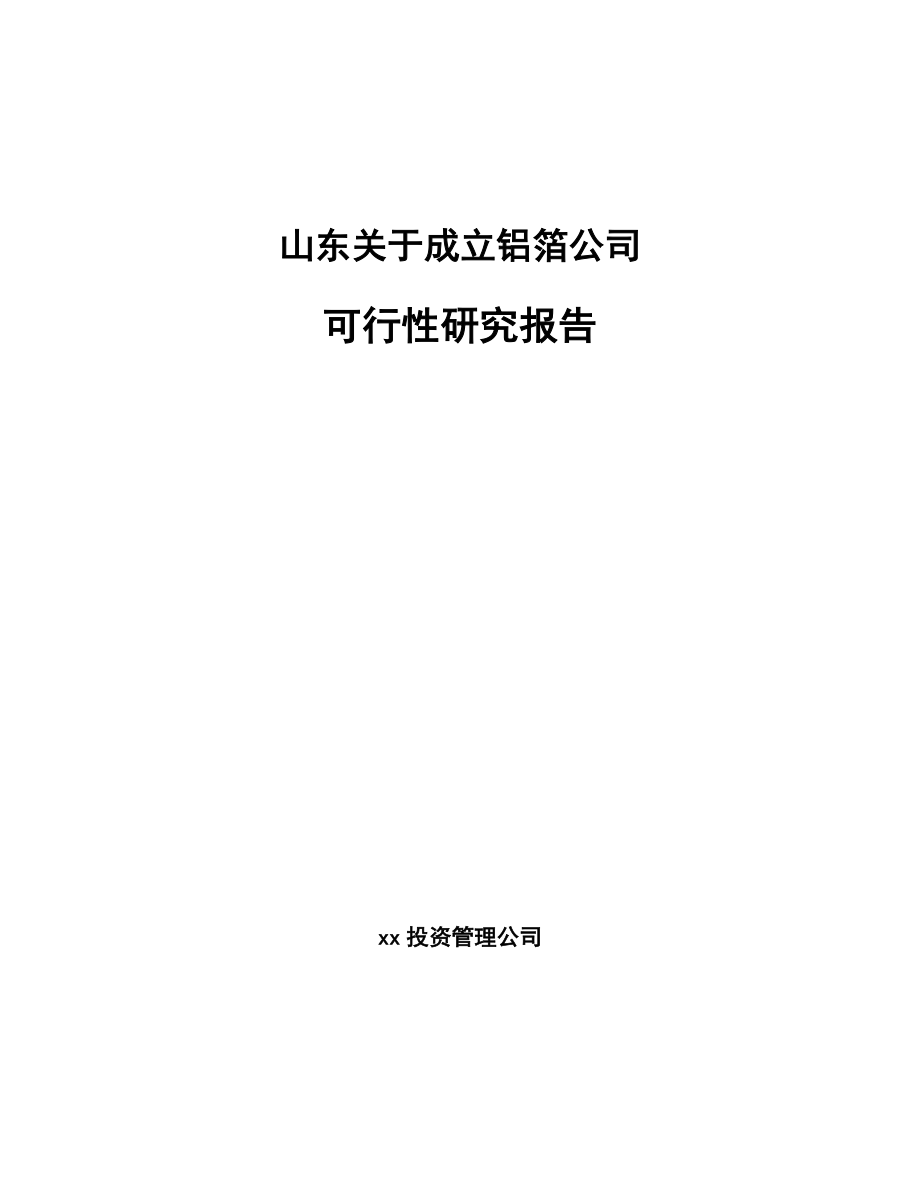 某 某成立铝箔公司可行性研究报告_第1页