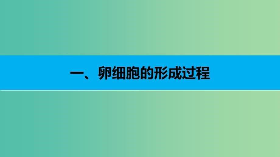 高中生物 2.1.2 卵细胞的形成过程、减数分裂中遗传物质的数目变化课件 新人教版必修2.ppt_第5页