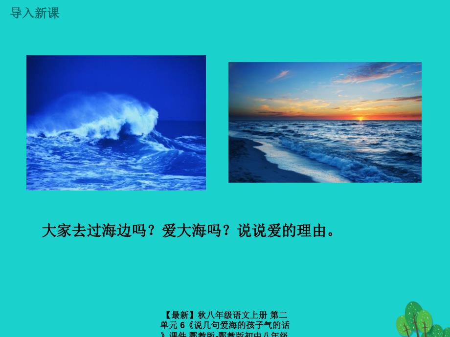 最新八年级语文上册第二单元6说几句爱海的孩子气的话课件鄂教版鄂教版初中八年级上册语文课件_第3页