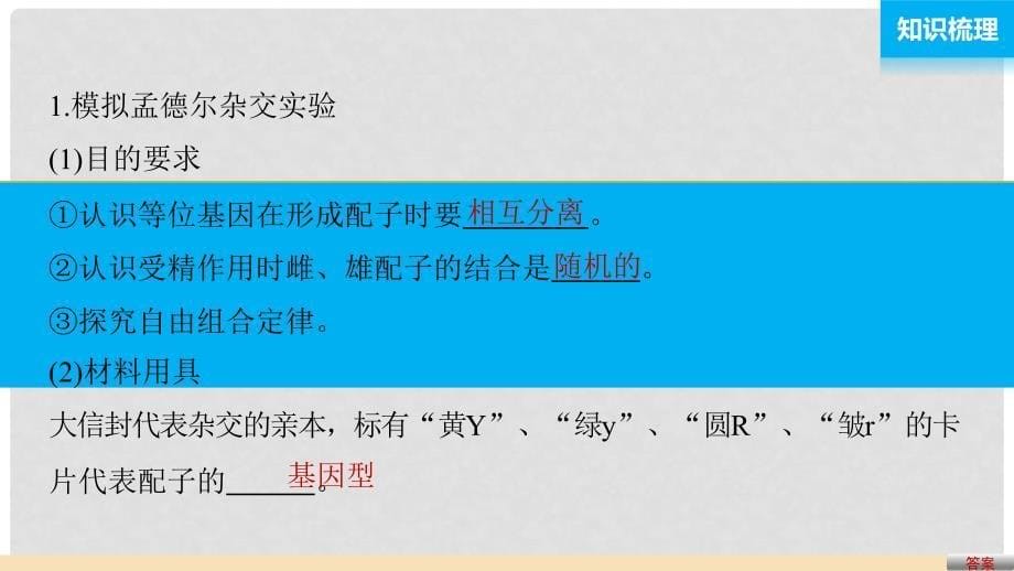 高中生物 第一章 第二节 进化性变化是怎样发生的课件1 浙科版必修2_第5页