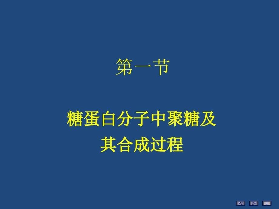 生物化学与分子生物学：4聚糖的结构与功能_第5页