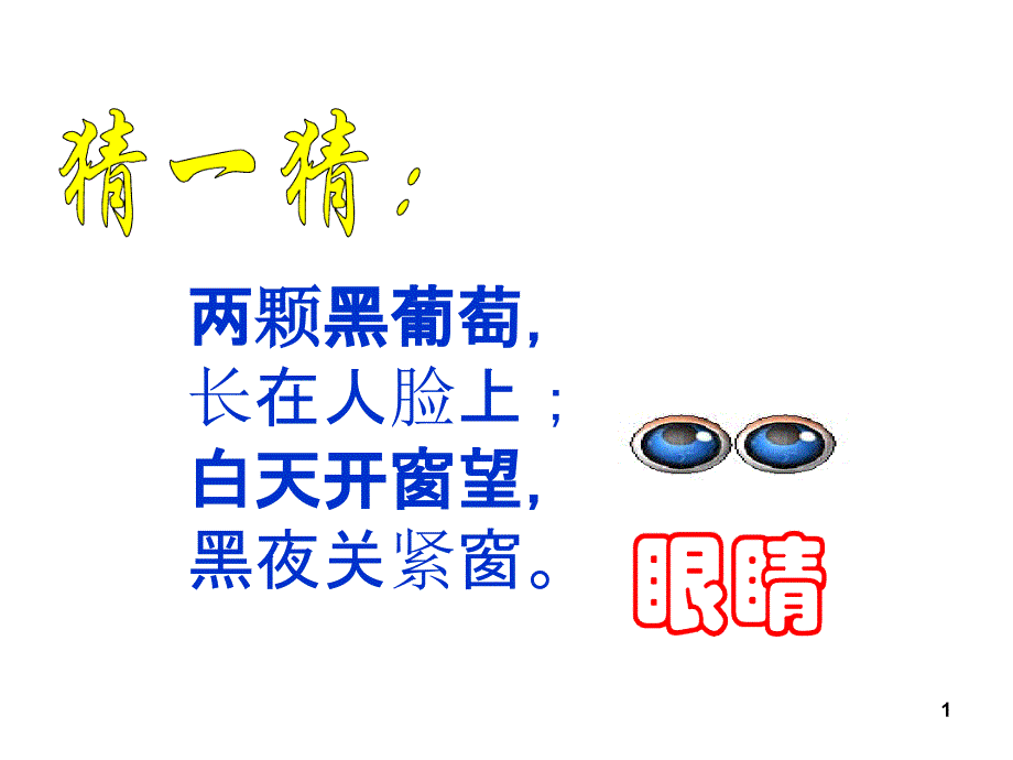 我的眼睛亮晶晶 PPT课件.ppt_第1页