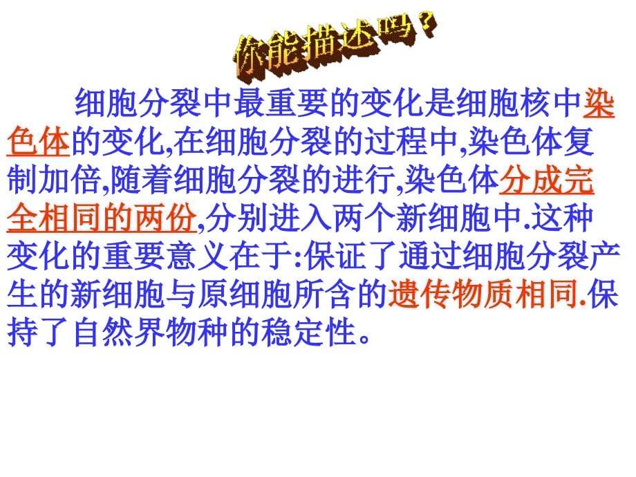 济南版生物七上第三节细胞的分与分化ppt课件之一_第5页