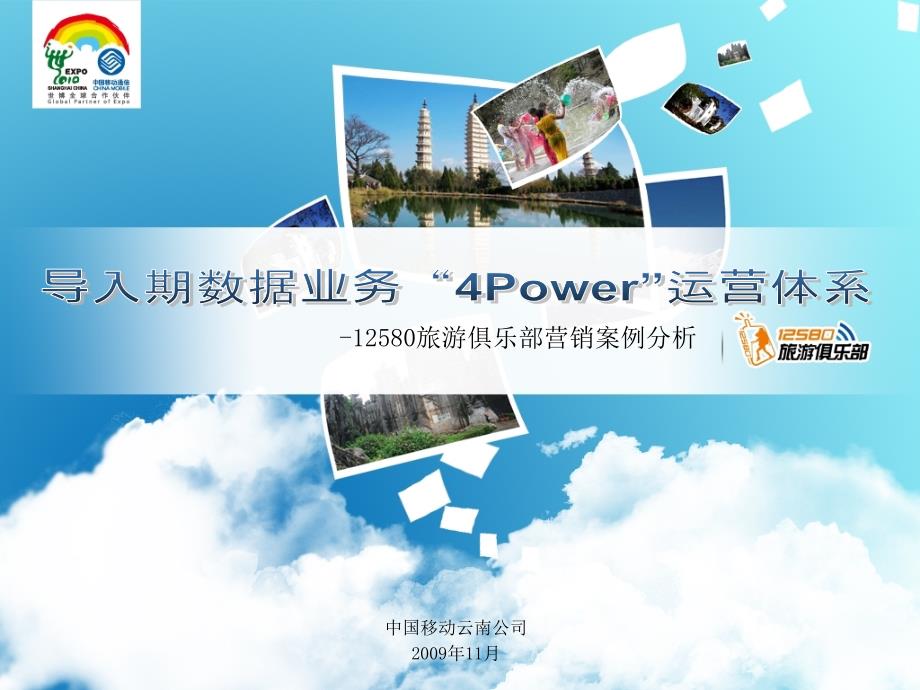 终导入期行业型数据业务4P运营体系_第1页