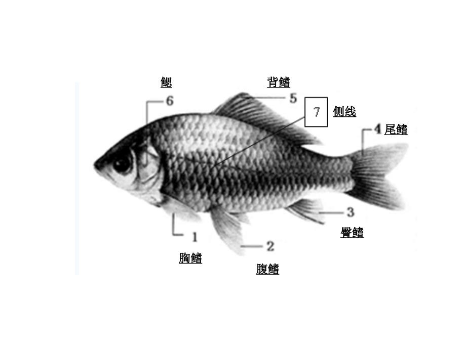 新八上第一单元测试卷答案_第3页