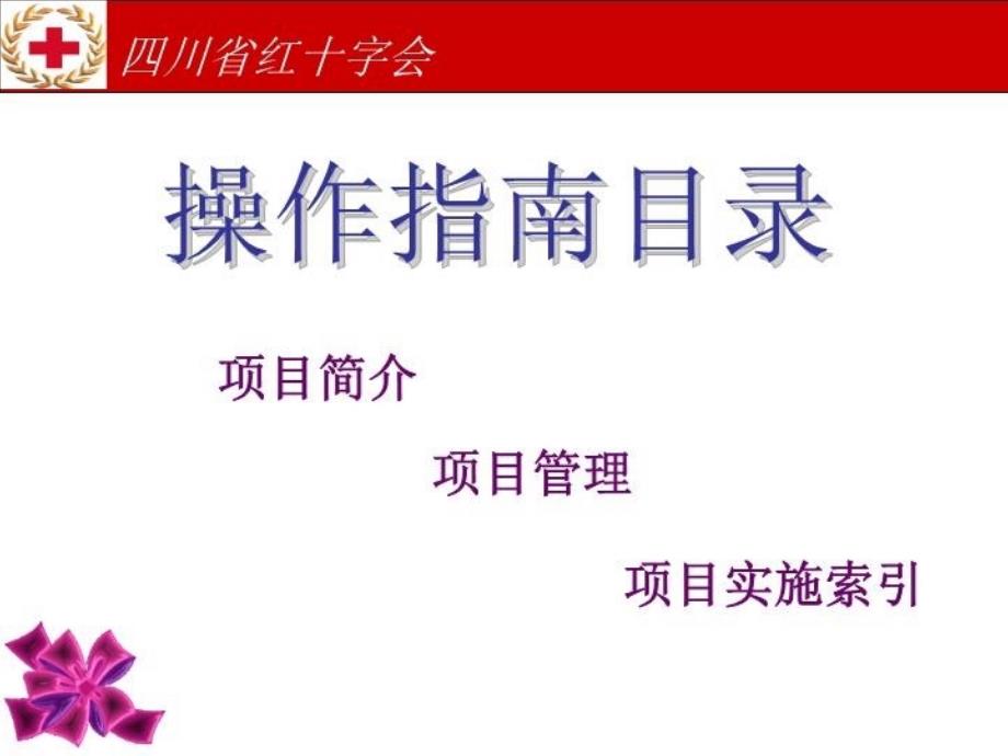 最新四川省红十字会ppt课件_第3页