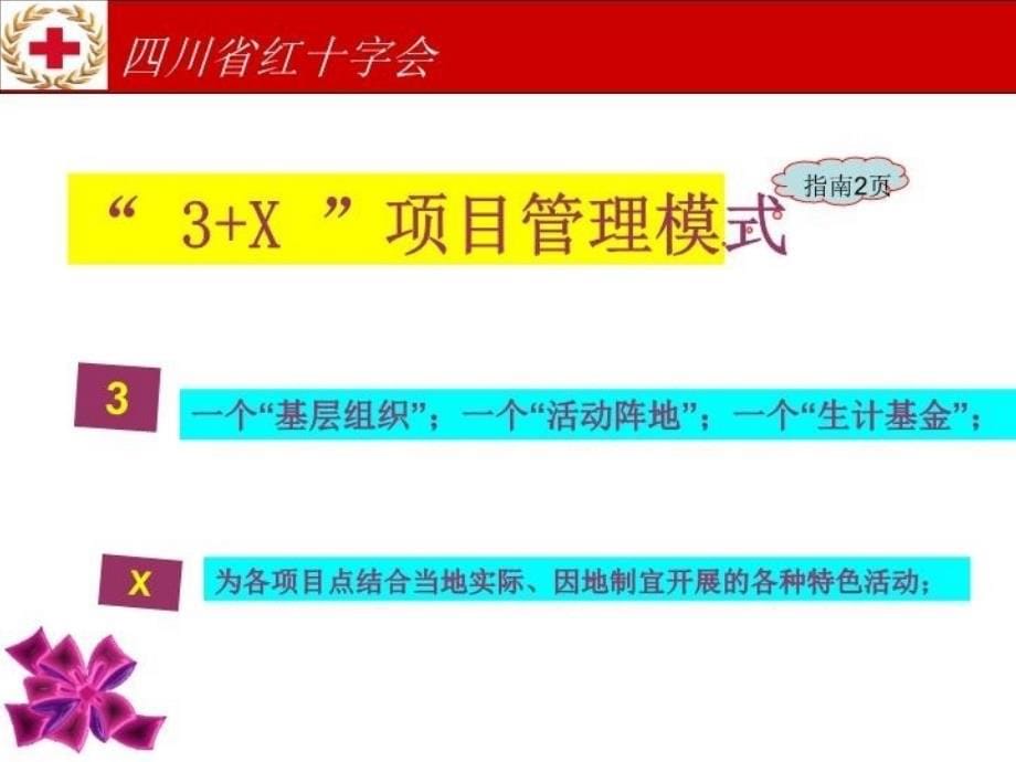 最新四川省红十字会ppt课件_第5页