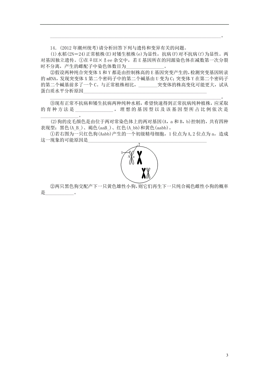 【南方新课堂】2014高考生物总复习 第5章 第1节 基因突变和基因重组课时作业(含解析)新人教版必修2.doc_第3页