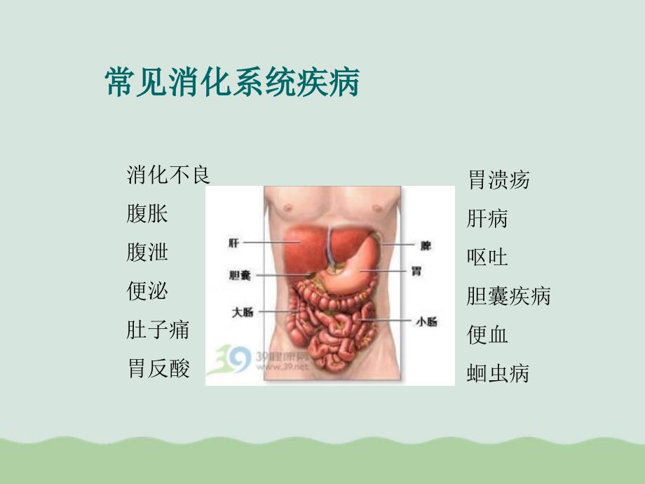 消化系统疾病治疗及防治课件_第2页