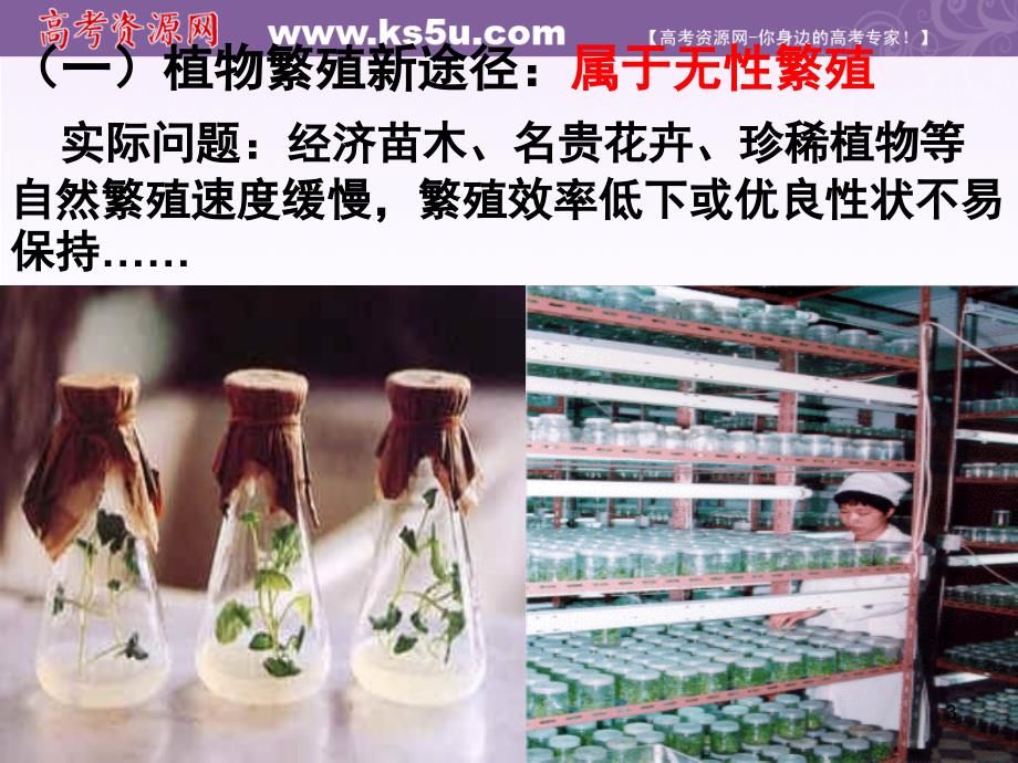 生物：2.1.2《植物细胞工程的实际应用》课件(新人教版选修3)_第3页