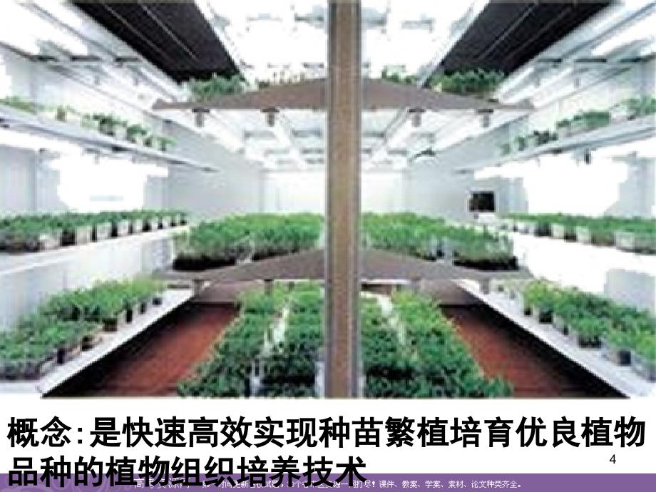 生物：2.1.2《植物细胞工程的实际应用》课件(新人教版选修3)_第4页