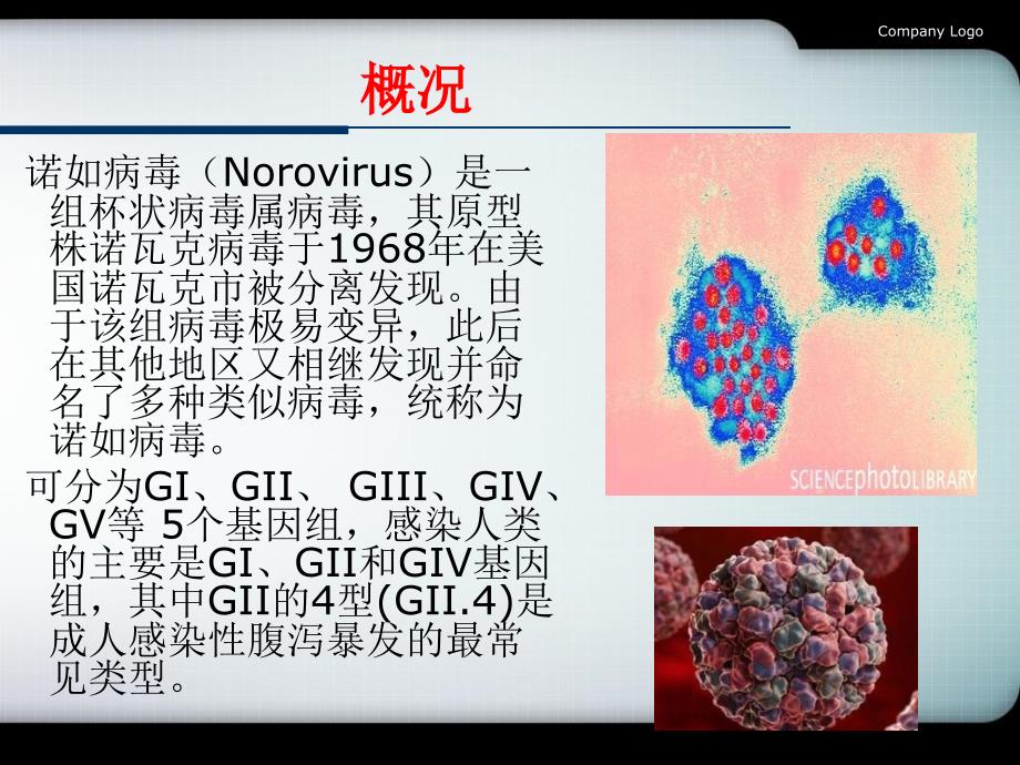 小学预防诺如病毒主题班会课件_第2页