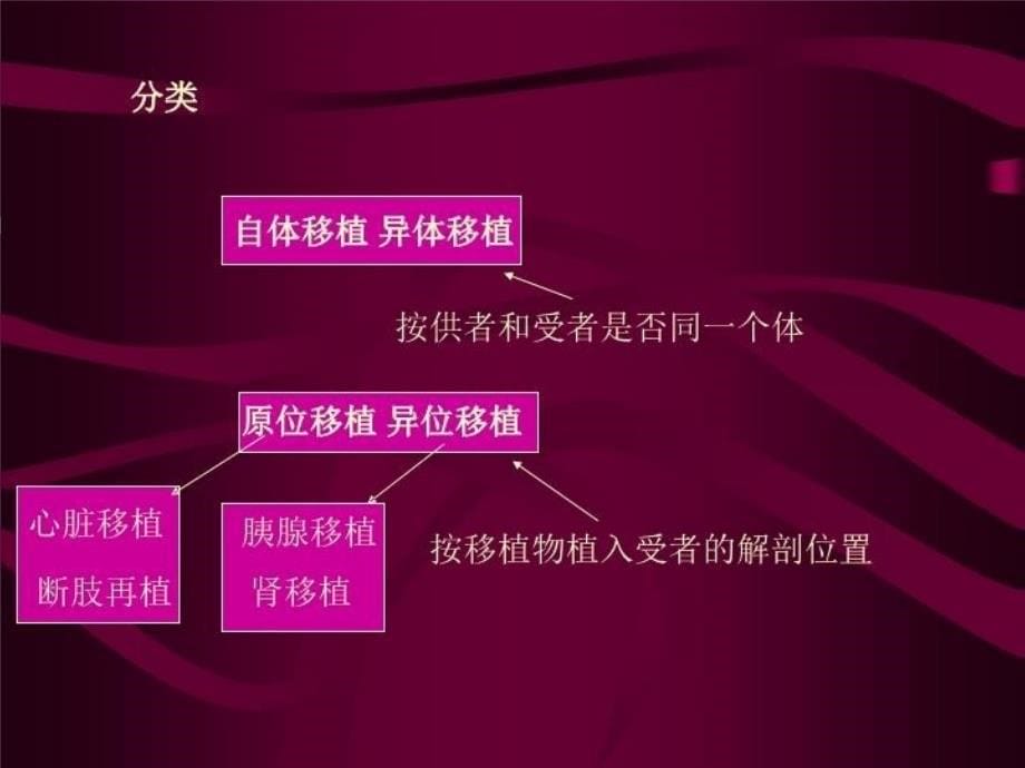 最新外科学017精品课件_第5页