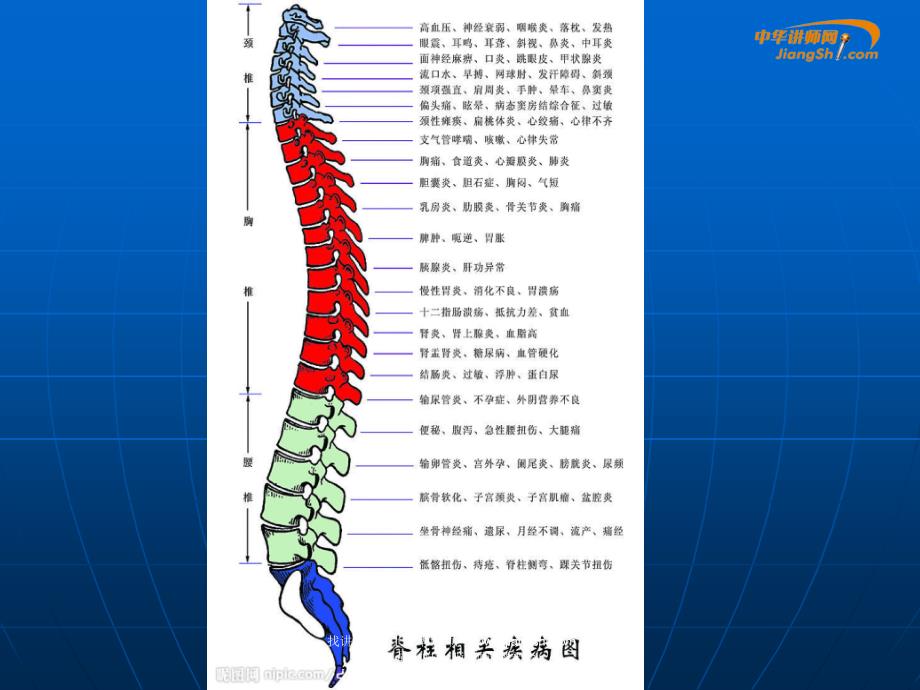 刘建军-脊柱小关节紊乱症-【中华讲师网】课件_第3页