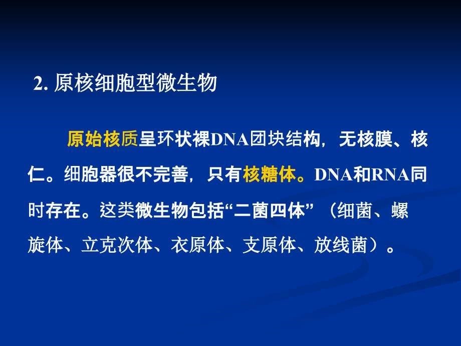 医学微生物学课件：1 医学微生物学概论_第5页