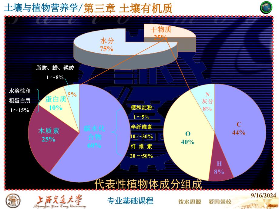 上海交大周丕生土壤学第3章 土壤有机质_第4页