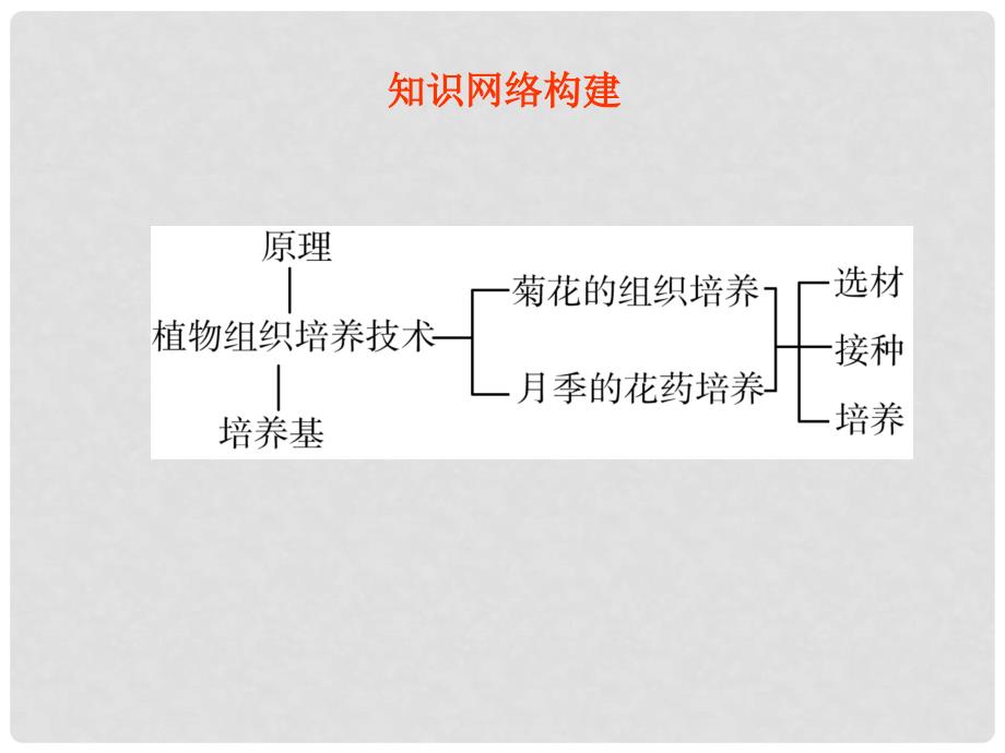 高考生物 专题3 植物的组织培养技术总复习课件 新人教版_第3页