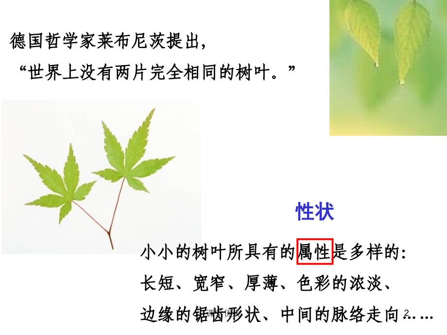 第五节生物的变异详版课资_第2页