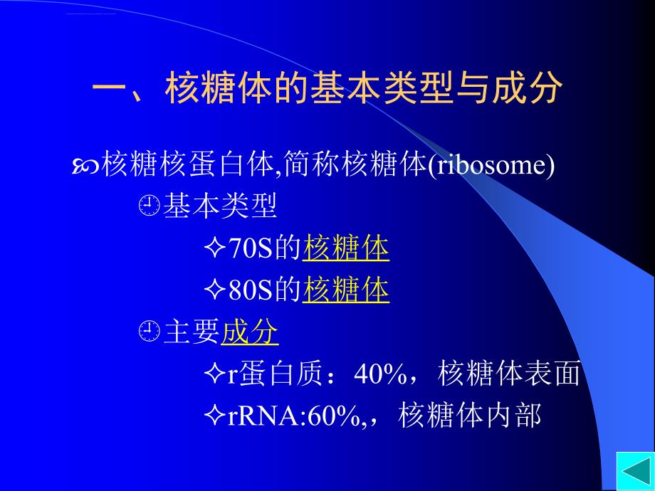 第十一章核糖体ppt课件_第4页