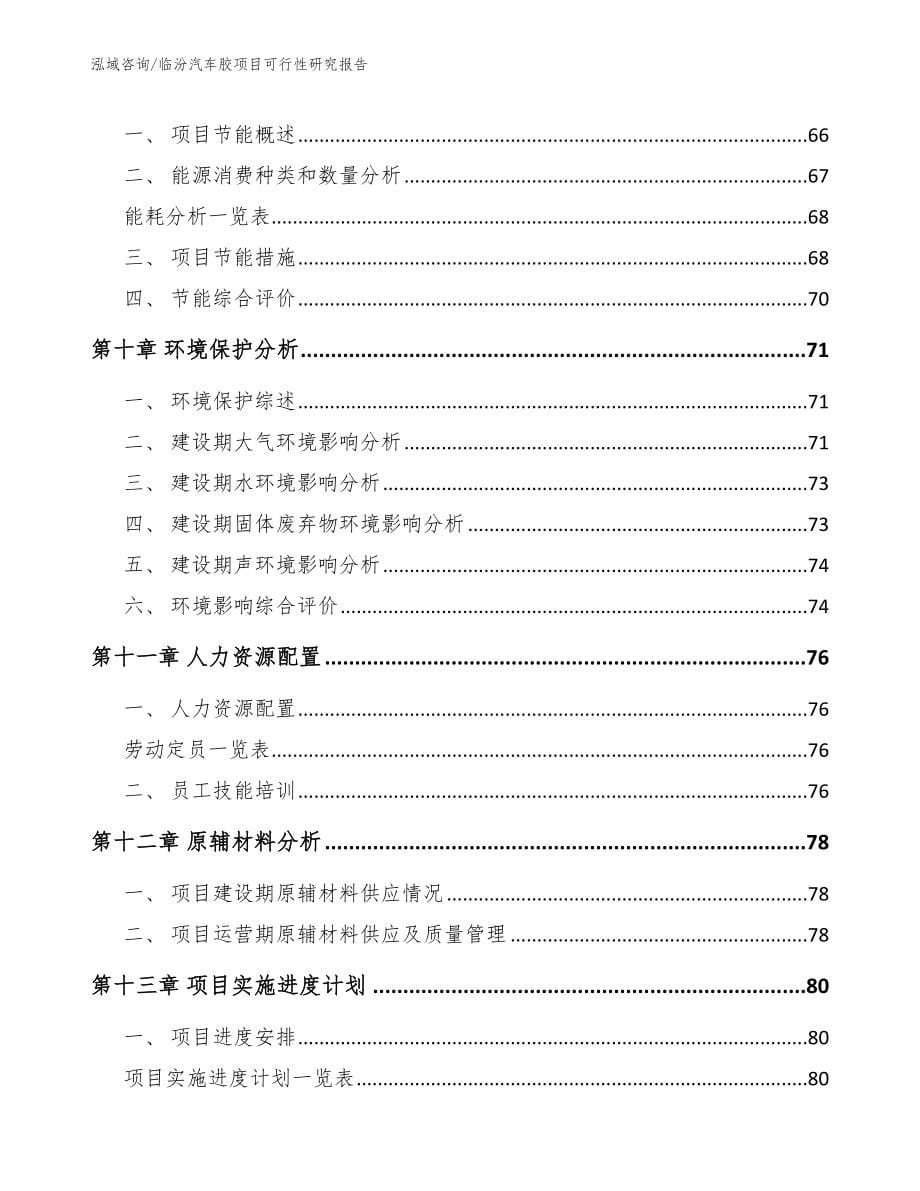 临汾汽车胶项目可行性研究报告_第5页