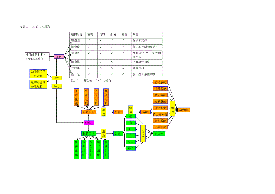 初中生物的概念图.doc_第2页