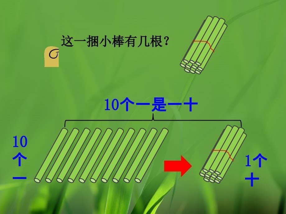 一年级上册数学7单元1120各数的认识1120各数的组成ppt课件_第5页