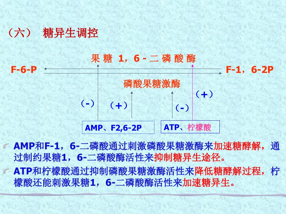 糖原异生和糖的其他代谢途径_第4页