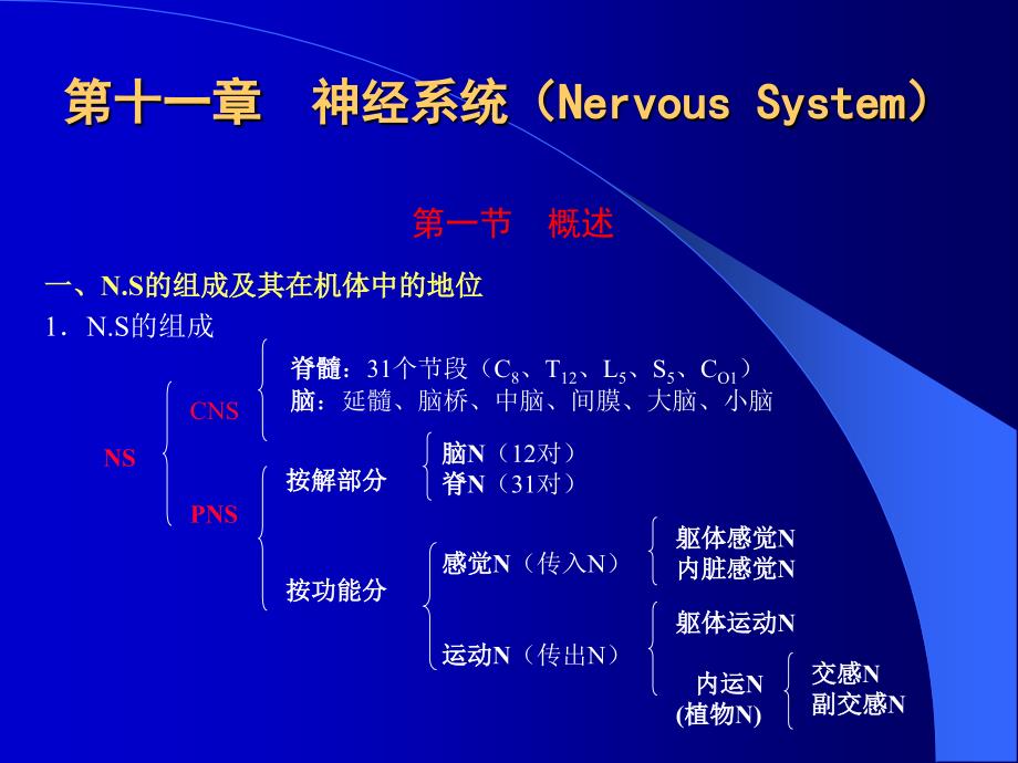 十一章神经系统NervousSystem_第1页