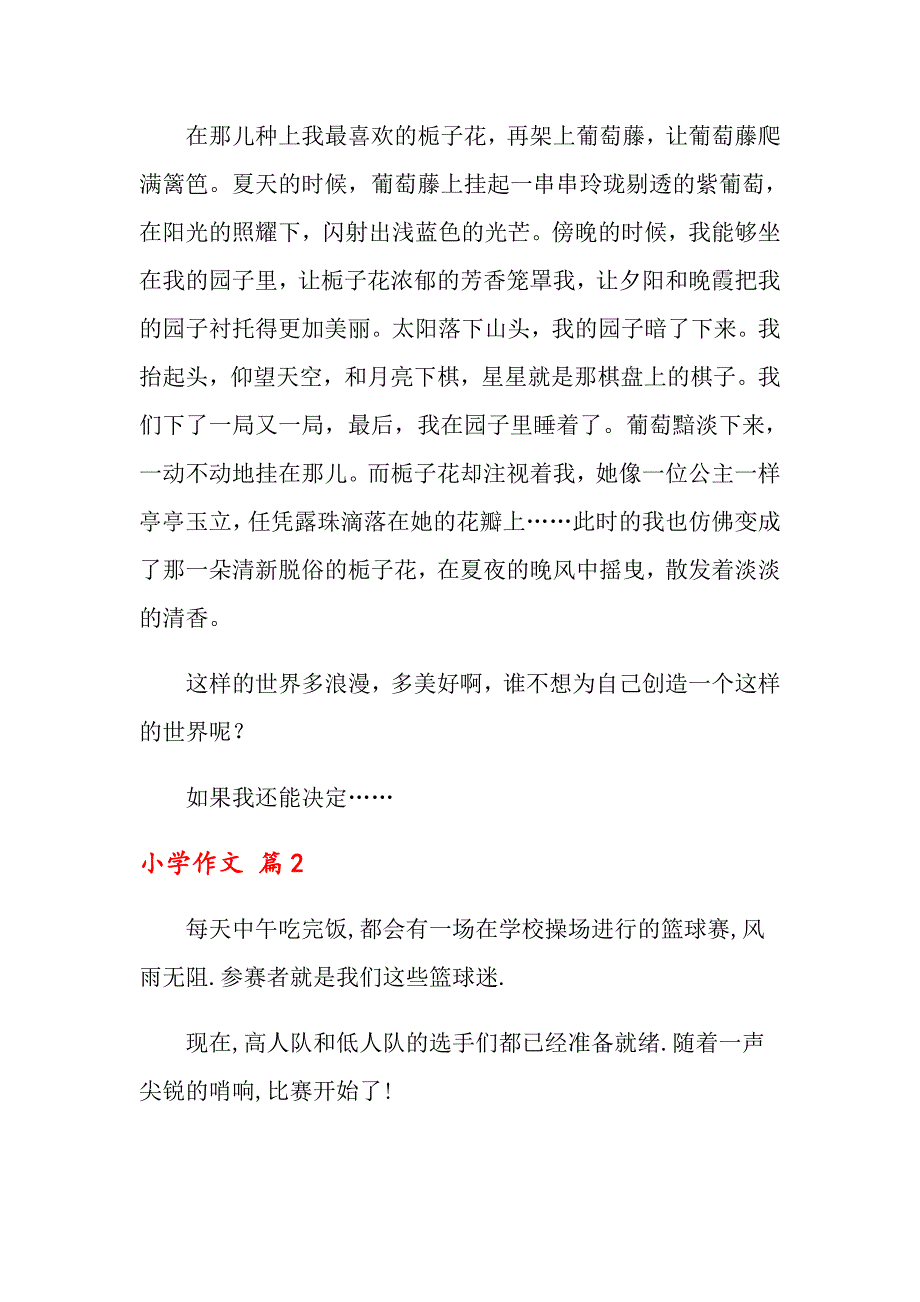 2022年关于小学作文三篇_第2页