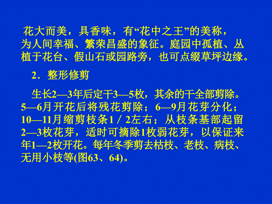 整形修剪PPT课件_第4页