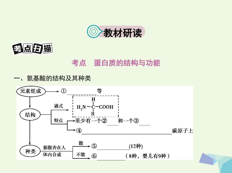 （新课标）高考生物一轮复习 分子与细胞 第1单元 细胞的分子组成第2讲 生命活动的主要承担者——蛋白质课件（必修1）_第2页