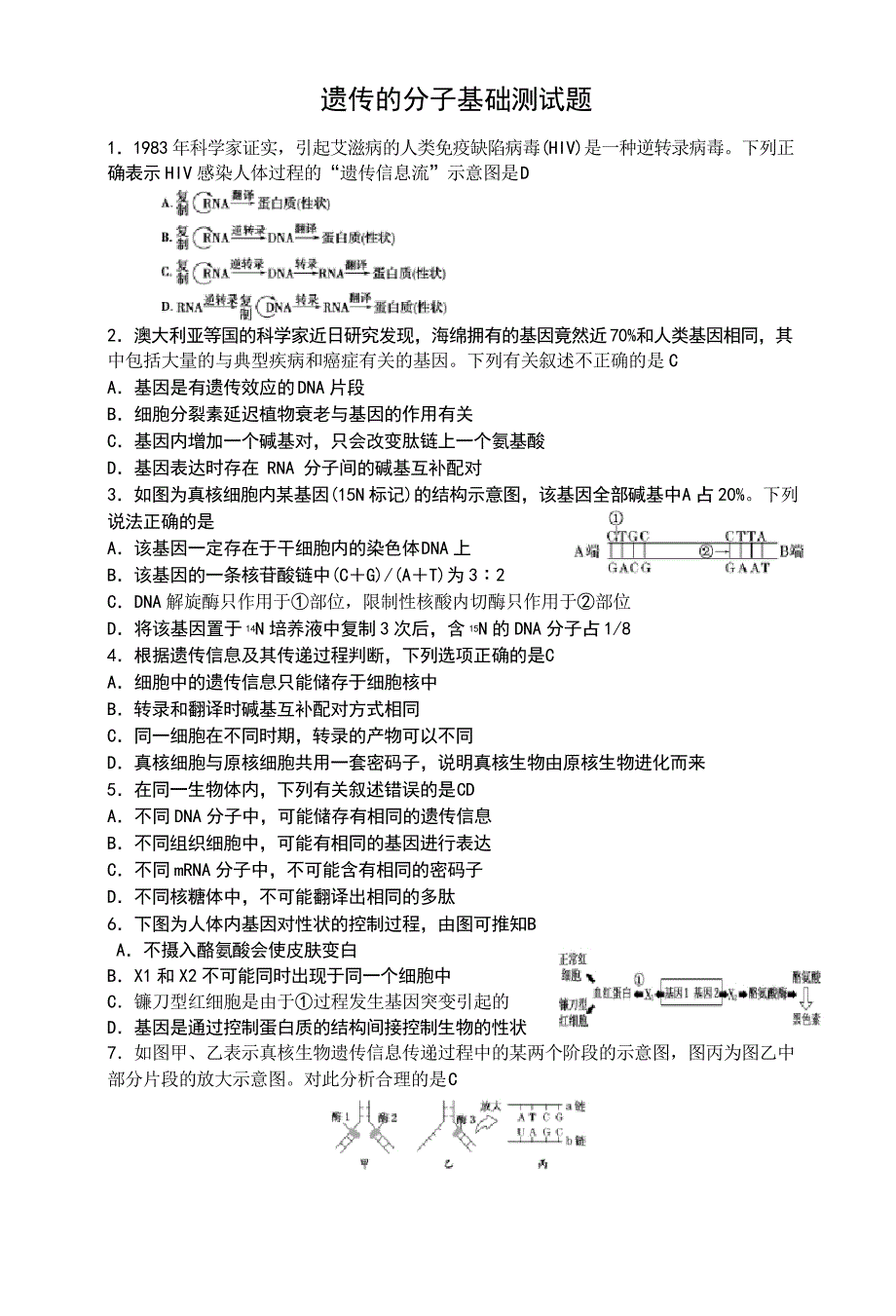 遗传的分子基础测试题_第1页