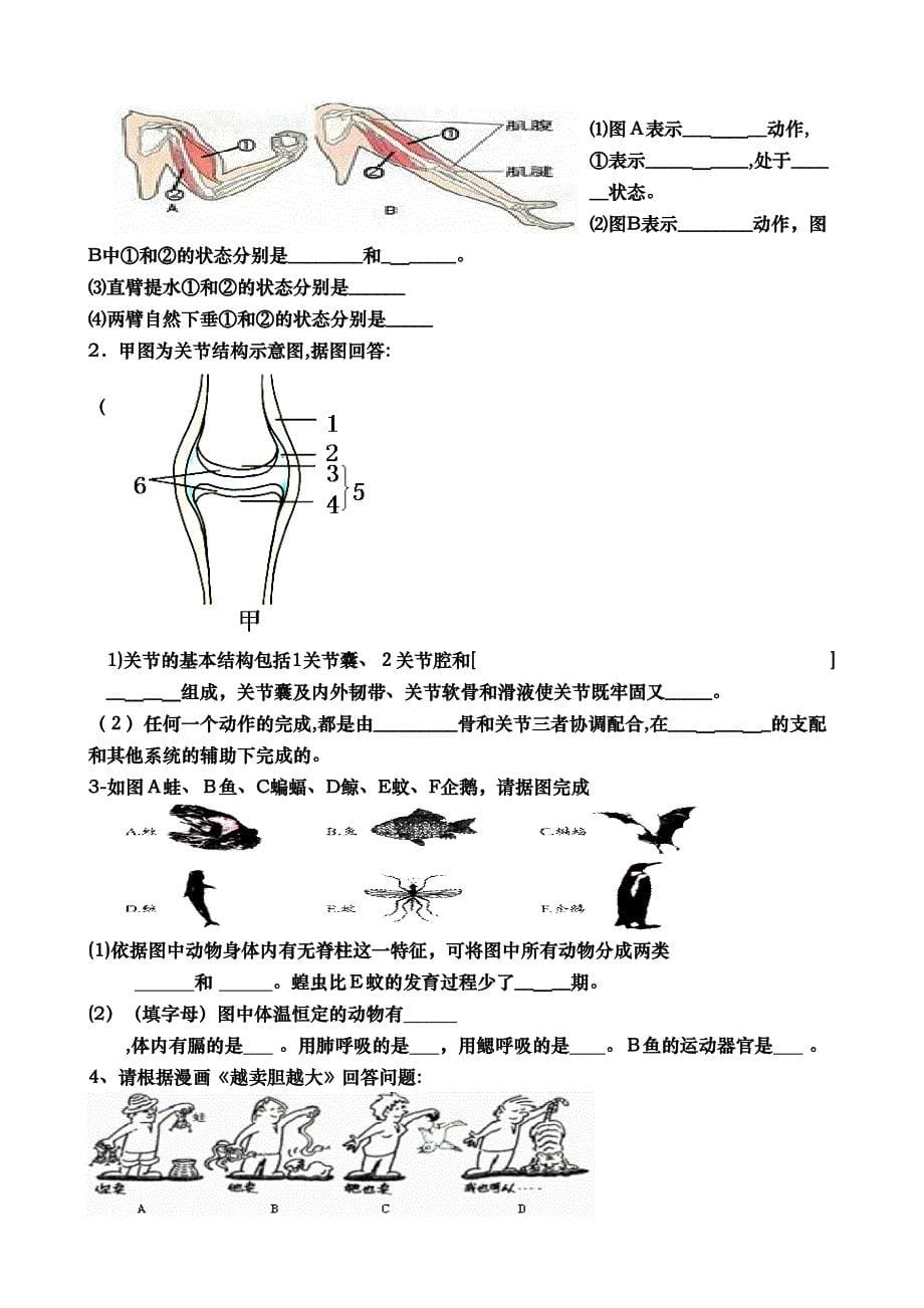 中考生物重点识图题_第5页