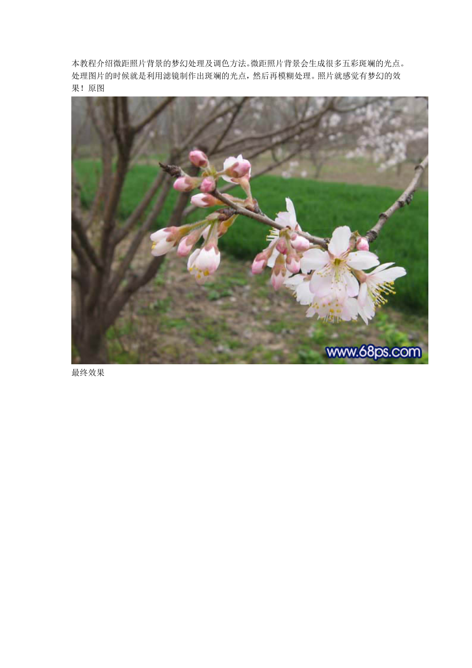 Photoshop微距照片背景的梦幻处理及调色方法_第1页