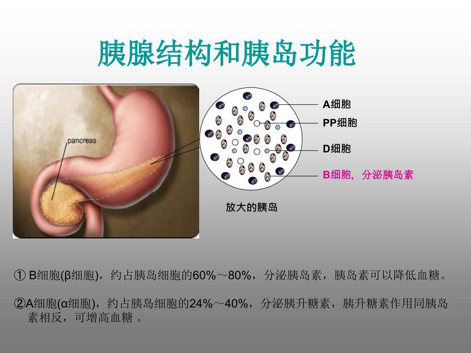 糖尿病关知识_第4页