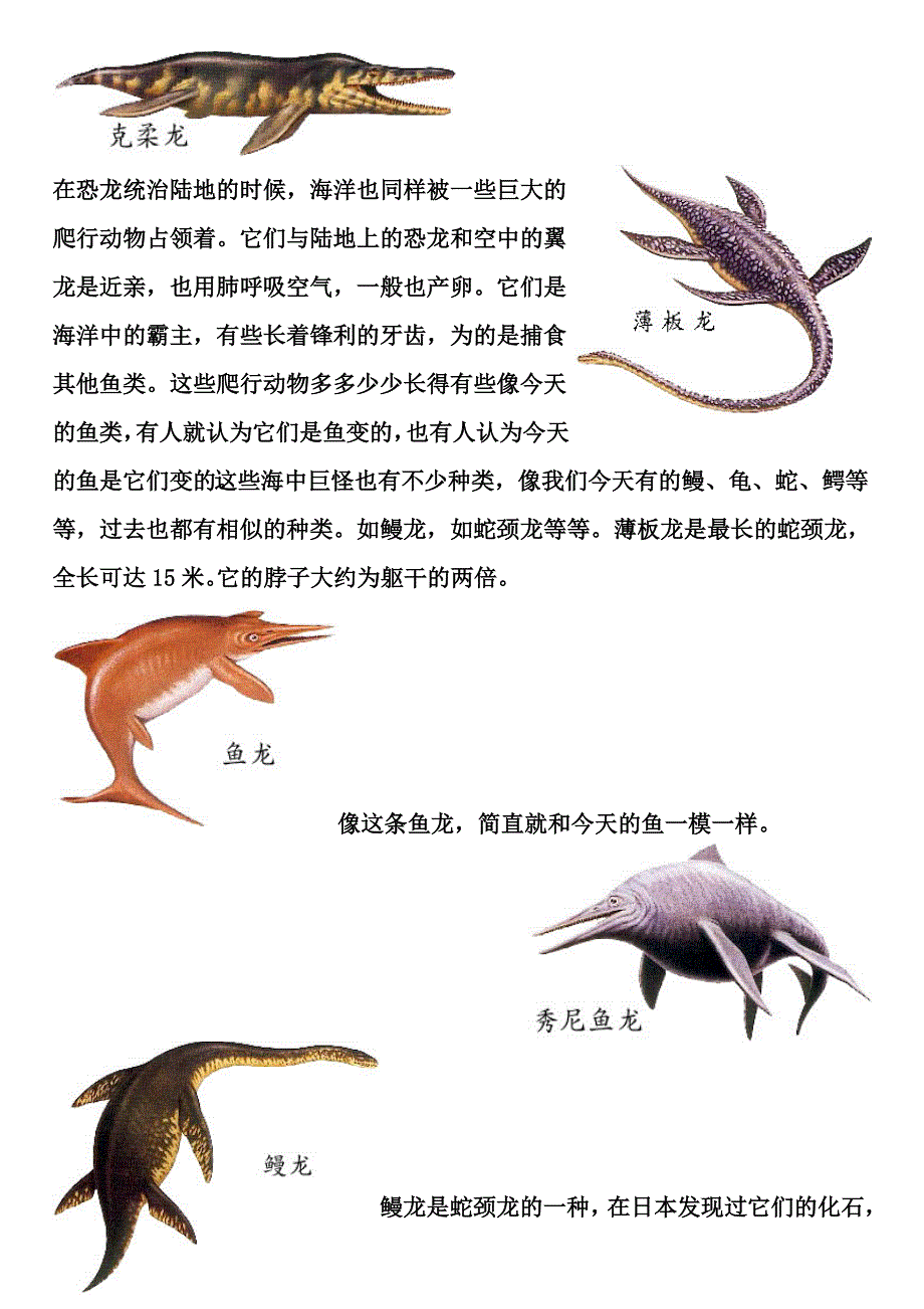 有关恐龙的资料及图片_第4页