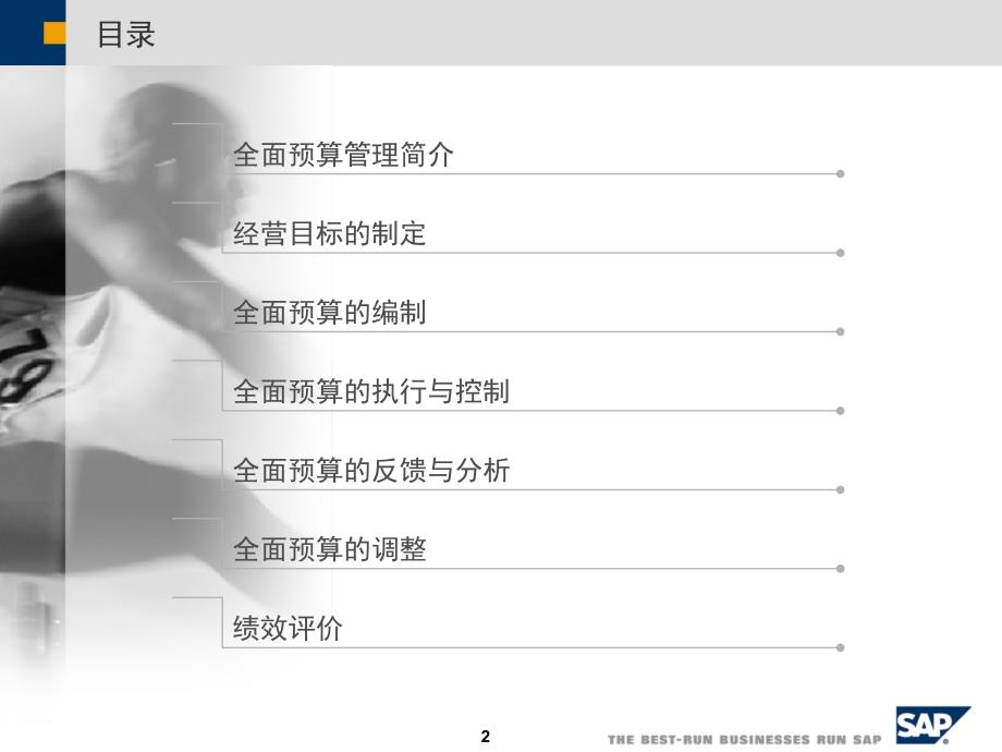 SAP财务全面预算管理解决方案_第2页