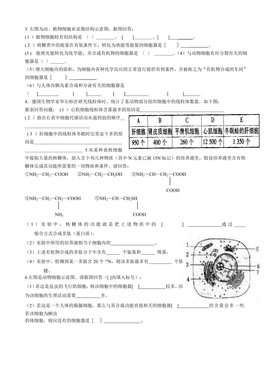 第三节细胞质_第4页