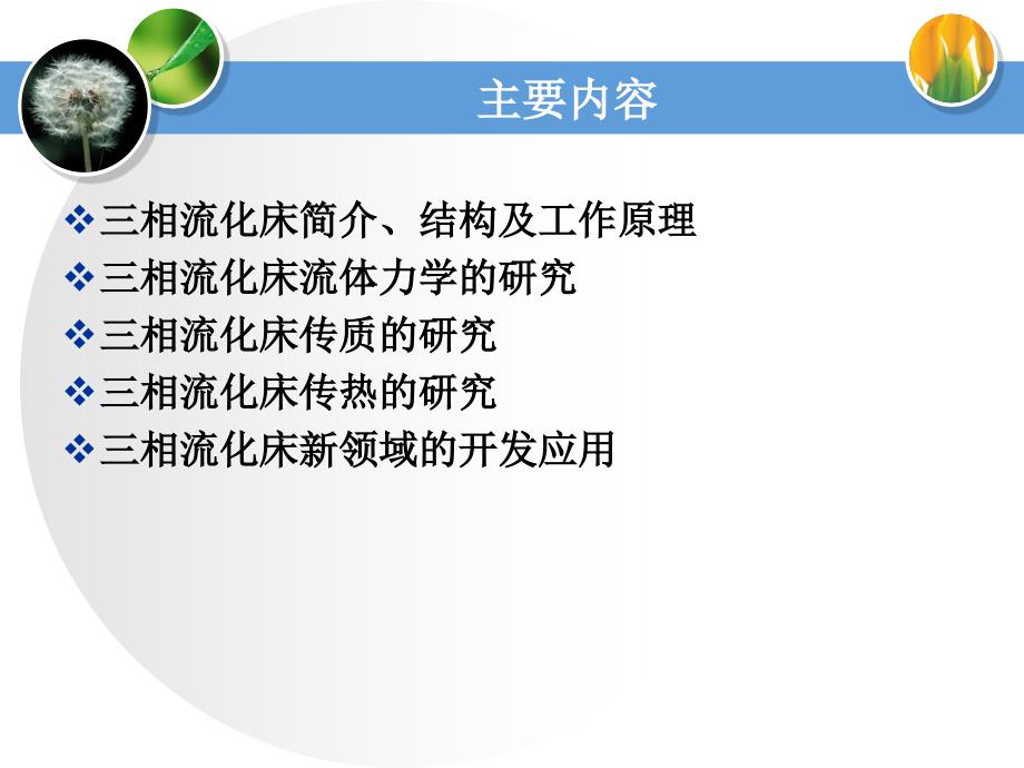 第二章 气液固三相流化床反应器 反应工程（南京工业大学）_第2页