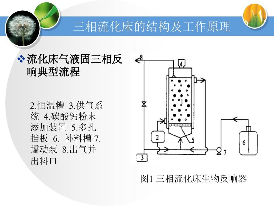 第二章 气液固三相流化床反应器 反应工程（南京工业大学）_第4页